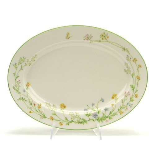 Amazon.com | Reverie, Green Trim by Noritake, China Serving